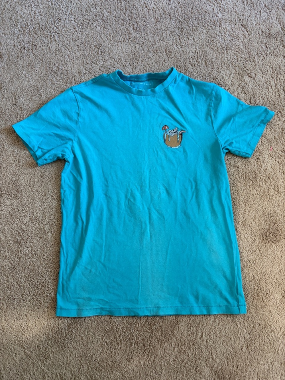 American Eagle Outfitters Turquoise Coconut Shark Short-Sleeve Graphic Tee